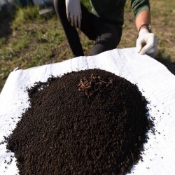 Vermicompost / biohumus granulat - îngrășământ 100% natural, 10 kg-2