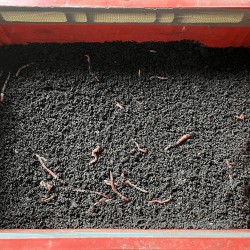 Vermicompost / biohumus granulat - îngrășământ 100% natural, 10 kg-5