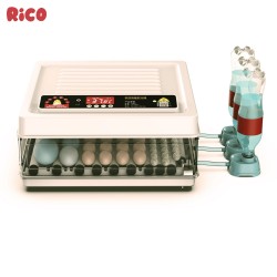 Incubator ouă automat smart Rico, 70 ouă-2