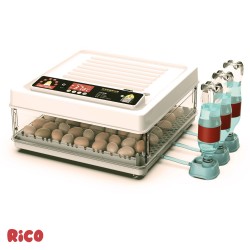 Incubator ouă automat smart Rico, 70 ouă-4