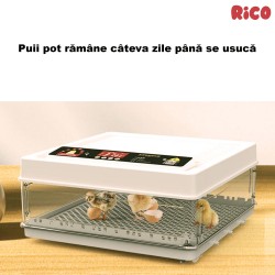 Incubator ouă automat smart Rico, 70 ouă-6