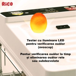 Incubator ouă automat smart Rico, 70 ouă-7