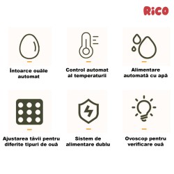 Incubator ouă automat smart Rico, 70 ouă-12