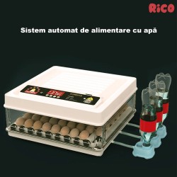 Incubator ouă automat smart Rico, 70 ouă-15