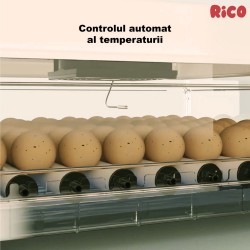 Incubator ouă automat smart Rico, 70 ouă-16