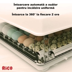 Incubator ouă automat smart Rico, 70 ouă-17