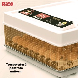 Incubator ouă automat smart Rico, 70 ouă-18