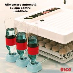 Incubator ouă automat smart Rico, 70 ouă-19