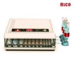 Incubator ouă automat smart Rico, 130 ouă-3