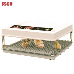 Incubator ouă automat smart Rico, 130 ouă-5