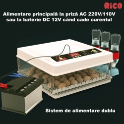 Incubator ouă automat smart Rico, 130 ouă-15